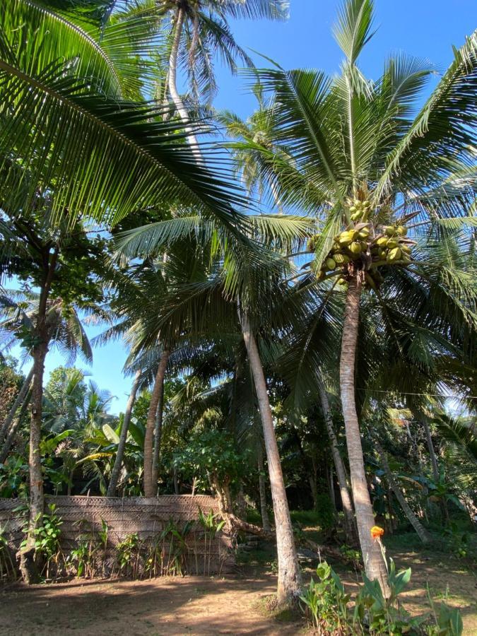 Villa Mango *